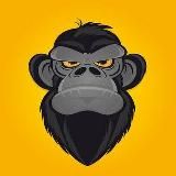 Crypto Stats 24 📊