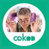 Доход эксперта I Ольга Драгая