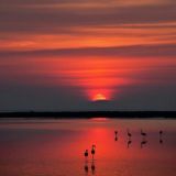 🎧 НЕ КОПИРУЙ 🎧