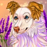 псо стайл ✨