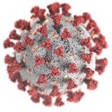 COVID19 TEST BIOEASY