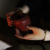 Anikori: чаттилла.