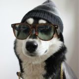 Zarabativaem Vmeste-$$$ Chat