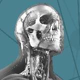 Модуль 1 «ВЗЛОМ МОЗГА»