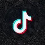 M/T video - заработок в tiktok