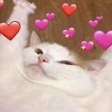 перша приватна пікчарня