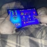 Картель N4eR’a