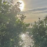 🪴 اللغة العربية في قلوبنا Арабский в наших сердцах 🪴