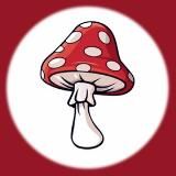 МУХОМОРЫ МИКРОДОЗИНГ ЧЕЛЯБИНСК КУПИТЬ