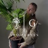 GRO.PLANTS - растения Казань 🌿