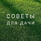 Дачные советы🍒
