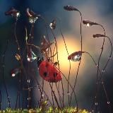 Биология с Сашей 🌿 ЦЭ/ЦТ Exam100