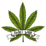 🌳ne✖️narko✖️kaнал🌳