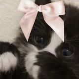 bett находки с ВБ (wildbierries)