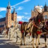 Краков Гданск Варшава Познань работа