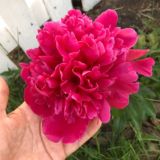 🌱 ЭкоДАЧА 🌱