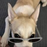 это что алканда