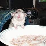 По Ля Ля | мемы и еда