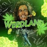 WEEDLAND🌿