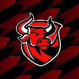 МФК «Red Bulls»