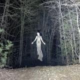 Вогонь дівка