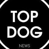 TOPDOG.news