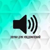 В теме | Темплейт