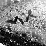 💞𝐋𝐨𝐕𝐞𝐌𝐗💍 (ᵐˣ)