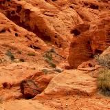 DRAGON 💸 БАТЯ САЙТОВ