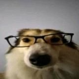 𝖒𝖎𝖉𝖓𝖎𝖌𝖍𝖙𝖌𝖍𝖔𝖘𝖙𝖞𝖝