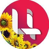 Информационный канал ЦЦТ УР