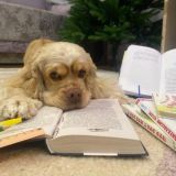 ❀Katy's Moments❀