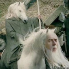 🐎🌺Agatha-Horse-Love🐎🌺