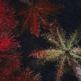 Халява | Выгода