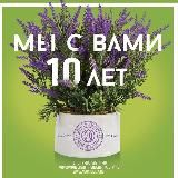 Flowers by Macheliuk