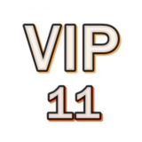 VIP 11 класс