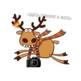 Профессор фотографии