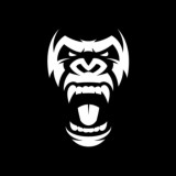 GORILLA VBIV ASOS|AMAZON|FARFETCH|STOCKX