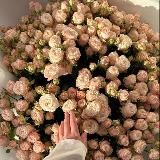 С любовью А💖