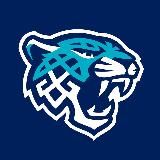 МХК «Снежные Барсы»