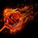 Автор FlameRose