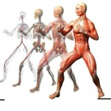 ❗ЛФК ФИТНЕС ДИЕТОЛОГИЯ РЕАБИЛИТАЦИЯ МАНУАЛЬНАЯ ТЕРАПИЯ БИОХИМИЯ