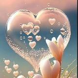 VABIL | online SCHOOL