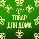 Дом|Шоппинг с Олей