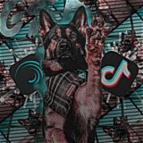 ᴀᴠᴀs ᴏꜰ ᴀɴɪᴍᴀʟs.