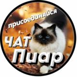 🔺ПИАР TOP-100🔺