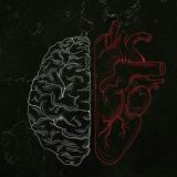 🤍 𝐚𝐧𝐨𝐦𝐚𝐥𝐢𝐲𝐚 🤍