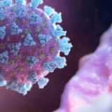 Конспекты ЕГЭ Биология