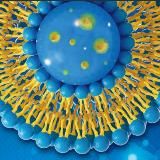 Истории здоровья ☘️ Адженис