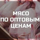 ООО "МЯСНОЙ ДВОР" | Мясо опт и розницу